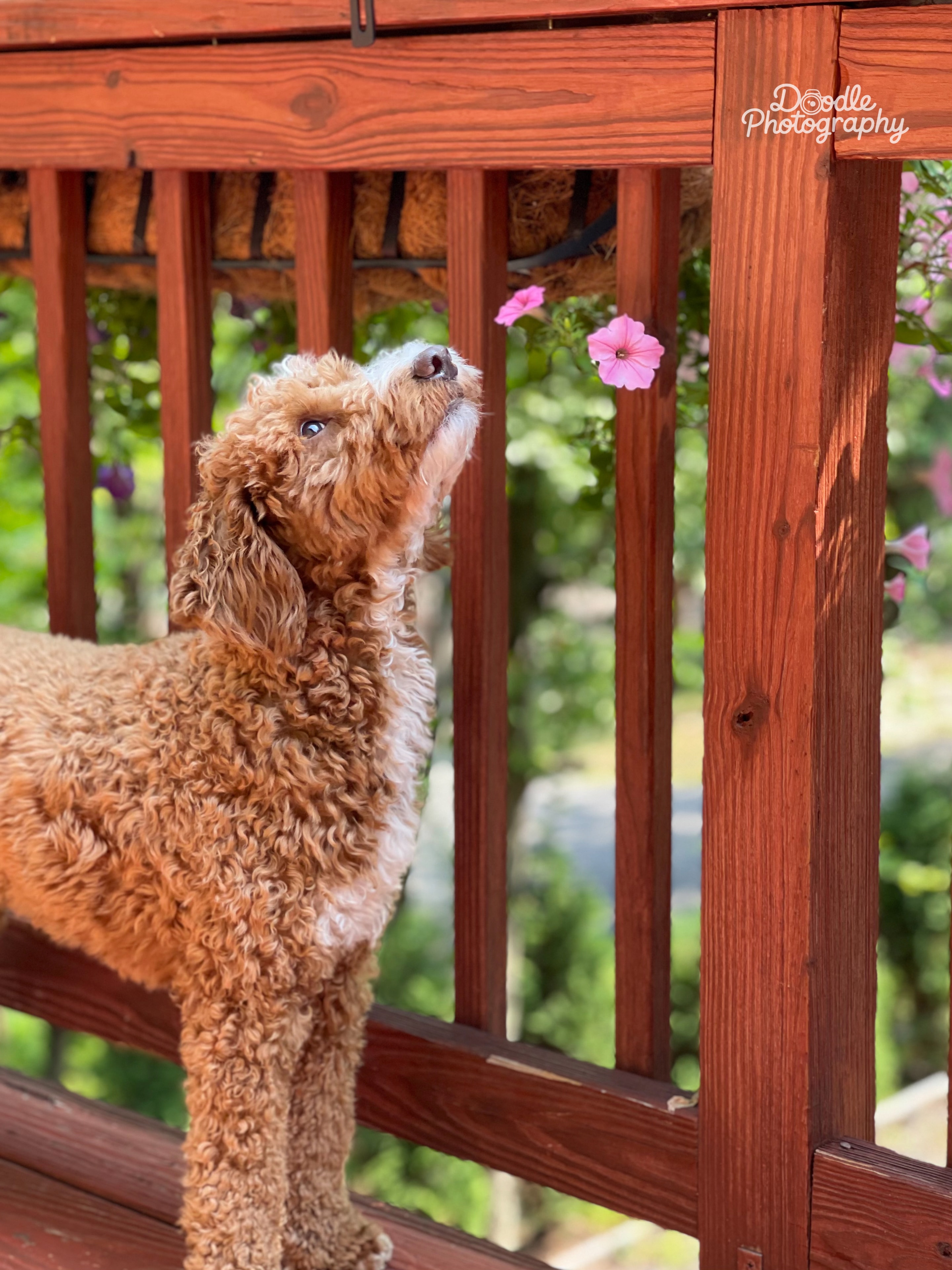 Stopping to smell the flowers.
