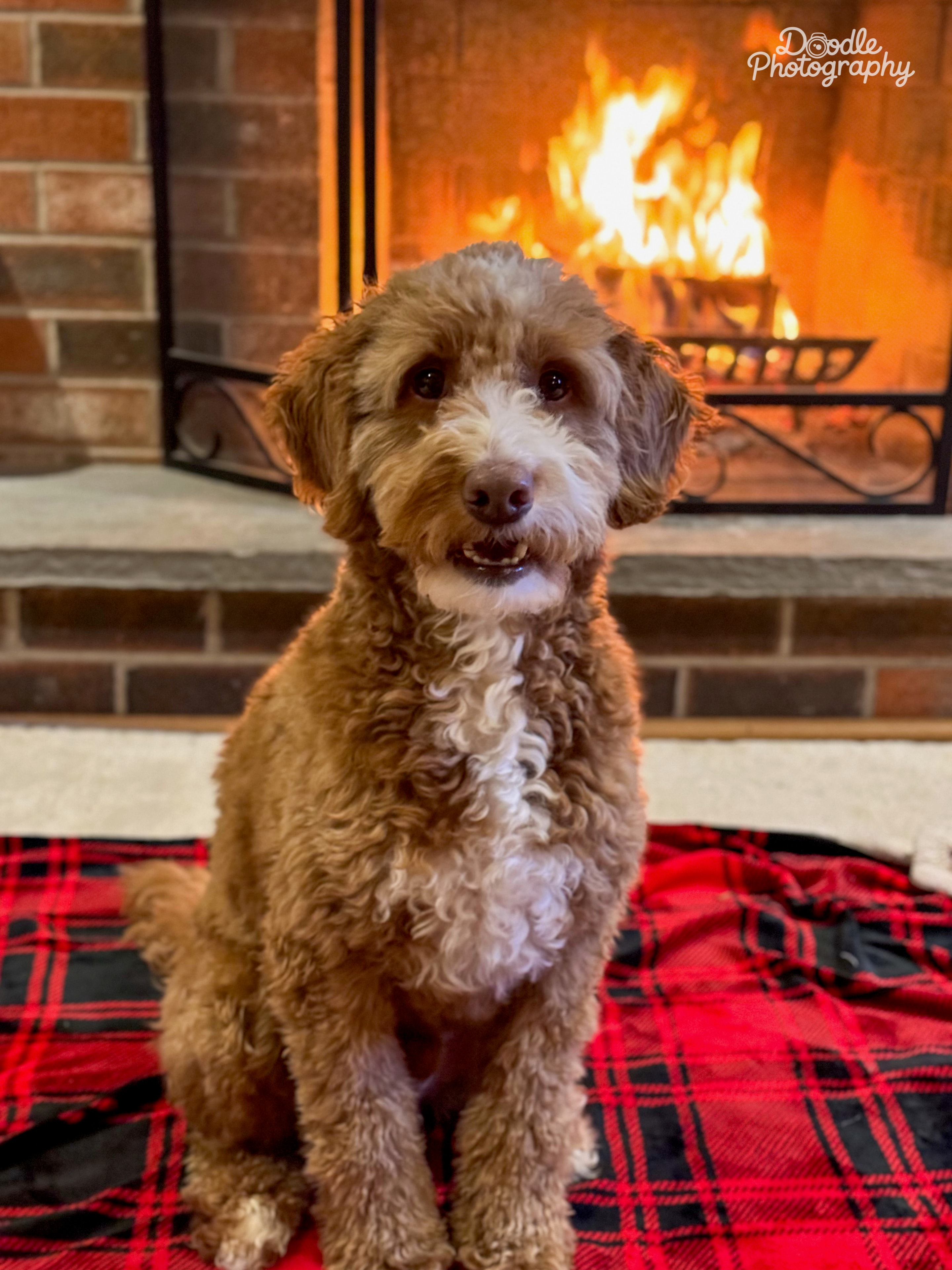 Cozy by the Fire