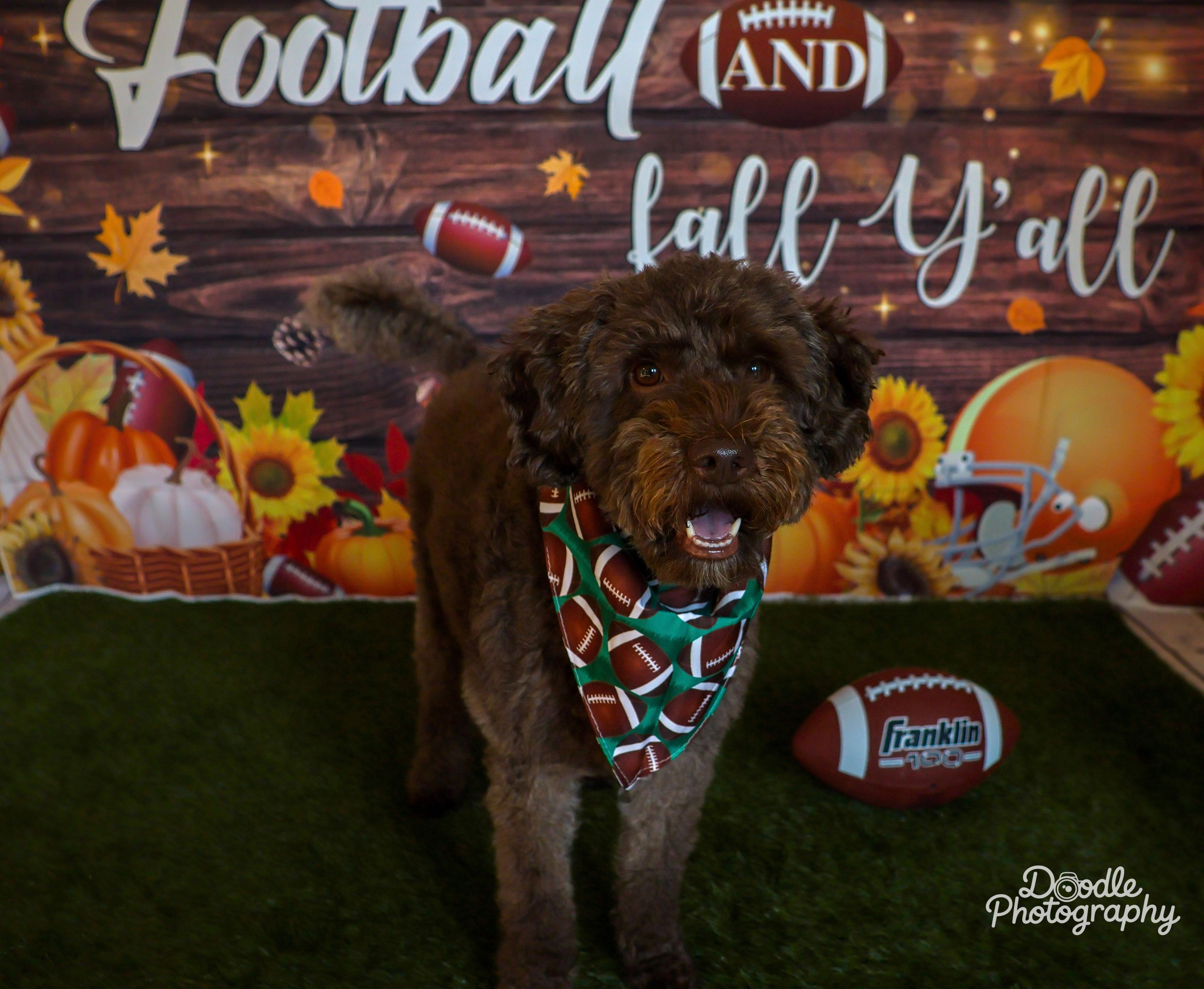 Football, fall & fun