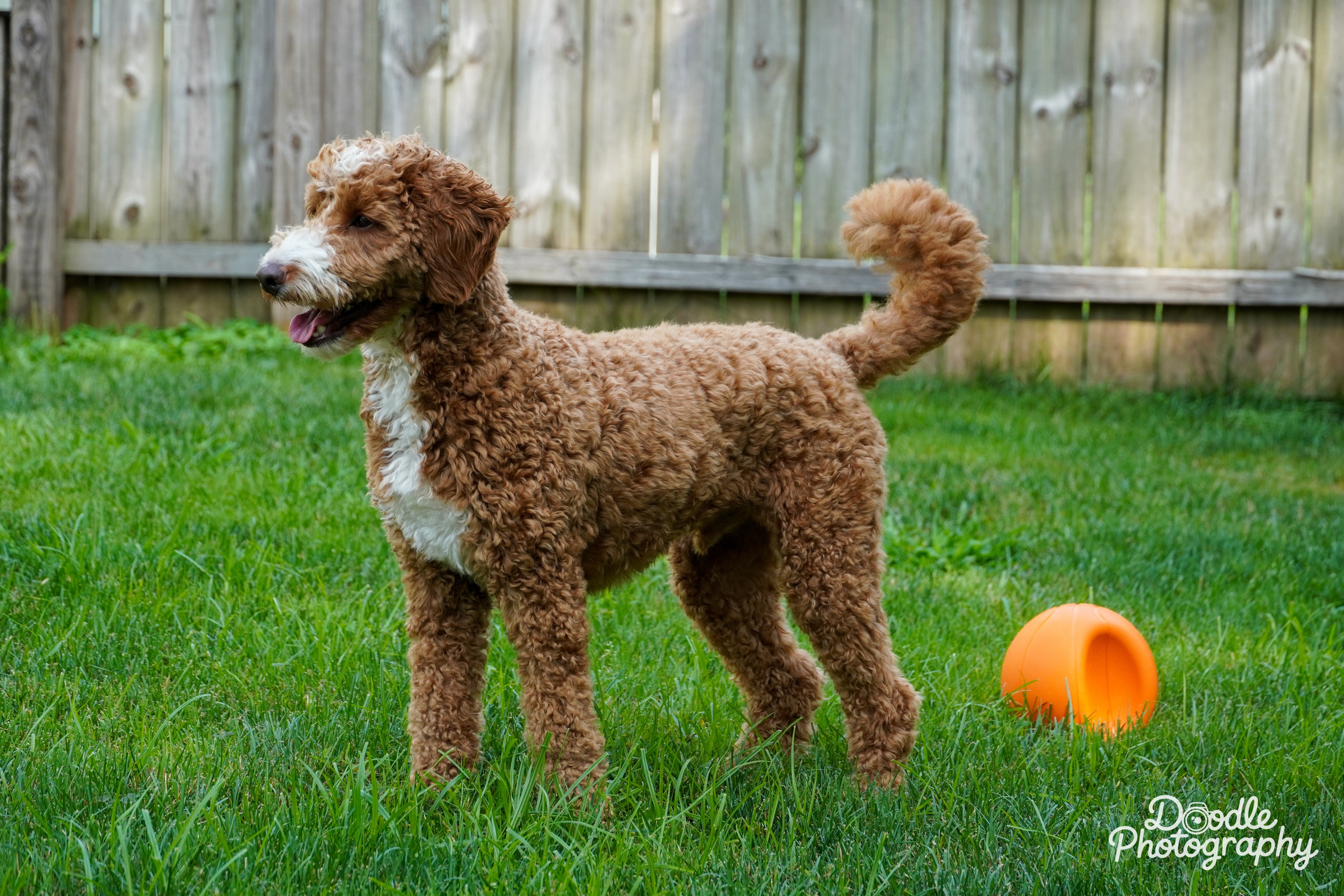 Ready to Play