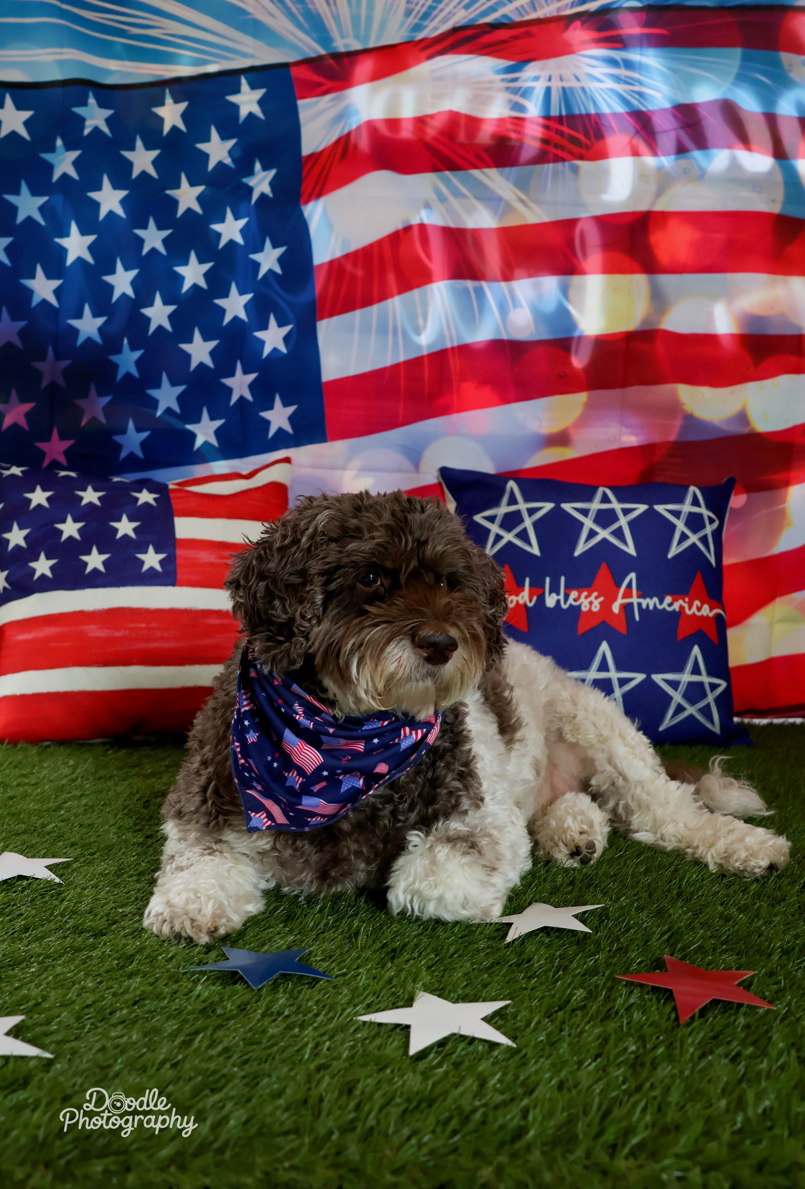 Stars, Stripes & Puppy Eyes